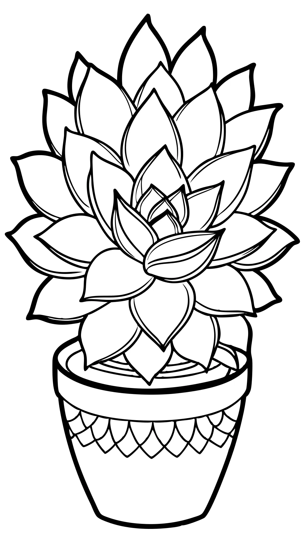 succulent coloring pages